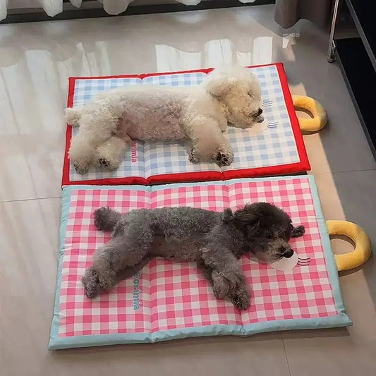 deux petit chiens allonger sur tapis chien rafraichissant
