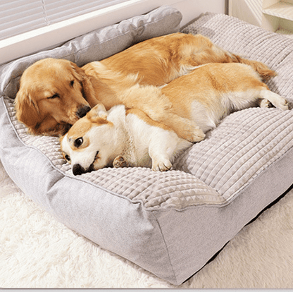 deux toutou allonger dans canape chien xxl gris