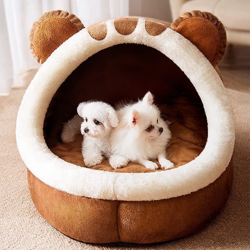 deux toutous partage le panier igloo pour chien