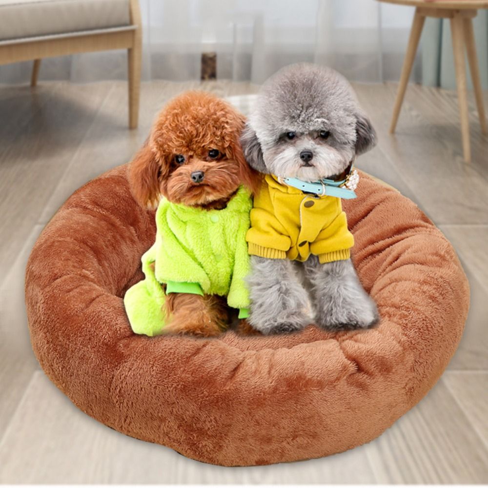 COUSSINS POUR CHIENS | Imperméable Confort Premium