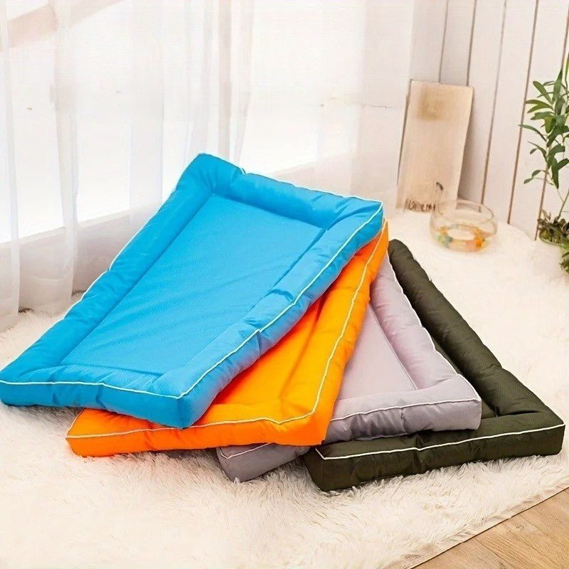 différentes position de couchage pour chien xxl