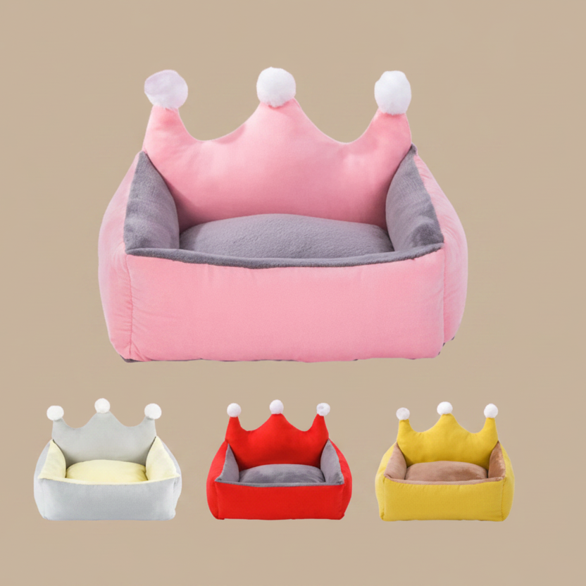 différents couleur de canape pour chien