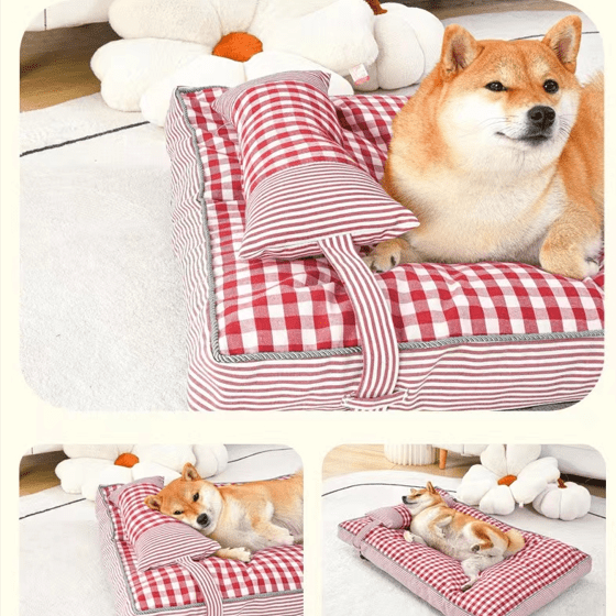 différents position sur coussin chien carreaux rouge