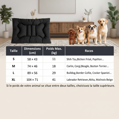 dimensions de coussin indestructibles pour chien