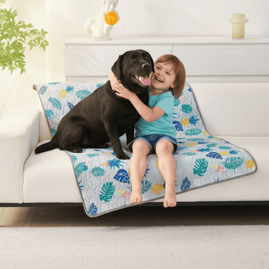 enfant joue avec son toutou sur couverture rafraichissant chien
