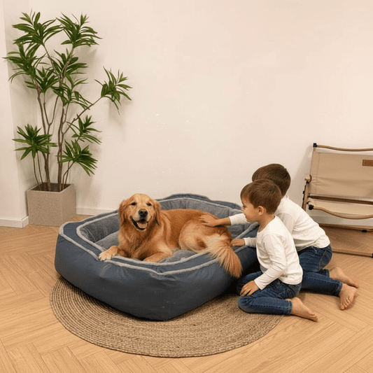 enfants joue avec toutou dans canape pour chien xxl gris