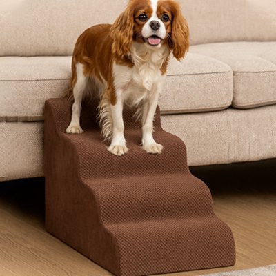 Escalier mousse pour chien avec revêtement antidérapant 