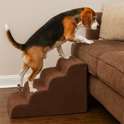 Escalier mousse pour chien lavable 