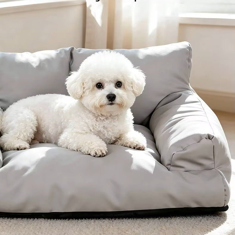 fauteuil pour chien avec dossier surélevé