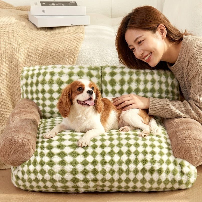 femme avec son toutou dans petit canapé pour chien lavable
