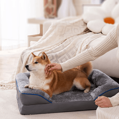femme caresse son toutou dans canapé lit pour chien grand taille