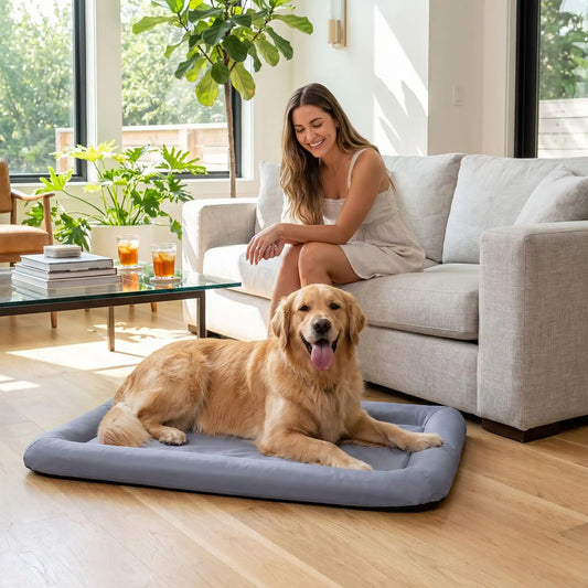 femme contente son toutou allonger sur coussin imperméable pour chien