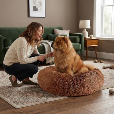 femme discute avec son toutou dans coussin chien xxl lavable