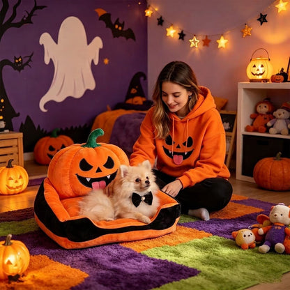 femme joue avec son toutou dans le petit canape pour chien
