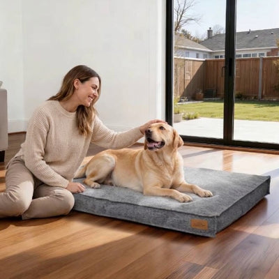femme rigole avec son toutou dans canape pour chien xxl