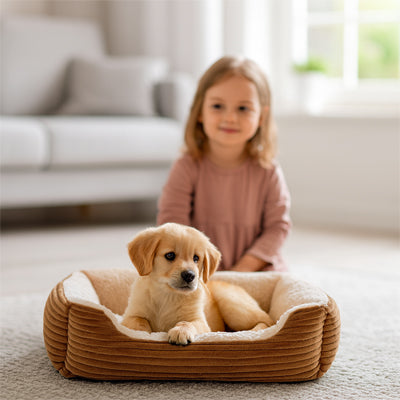 fille cote chien dans coussin chien douillet marron