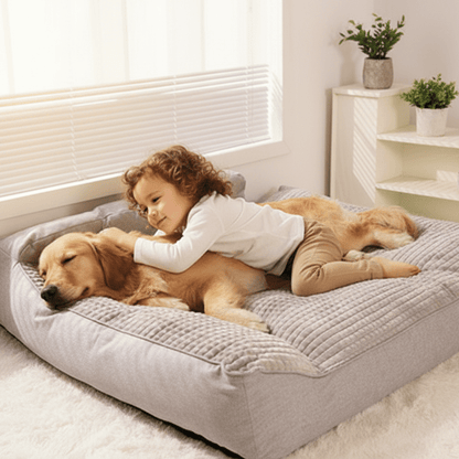 fille joue avec son toutou dans canape  chien xx