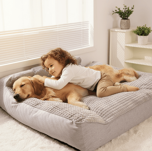 fille joue avec son toutou dans canape pour chien xx