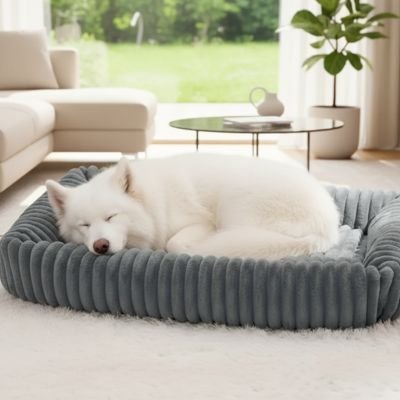 grand toutou dort dans panier Chien moelleux 