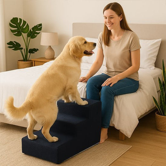 grand toutou monte par Escalier pour chien en mousse 
