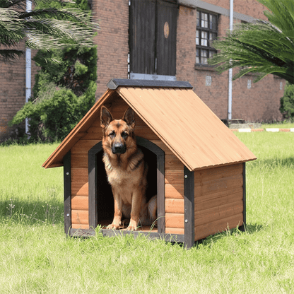 grand toutou dans cabane en bois pour chien