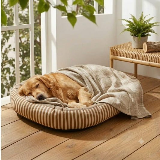 grand toutou dans meilleur coussin orthopédique pour chien