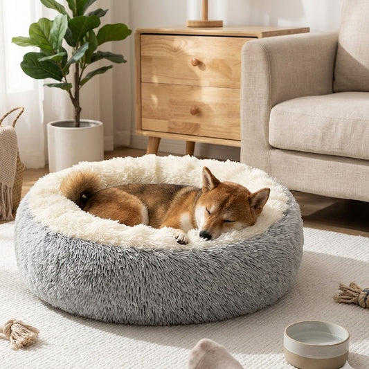 grand toutou dort dans coussin chien en peluche
