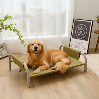 grand toutou sur lit surélevé chien lavable