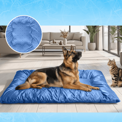 grand toutou sur tapis pour chien rafraichissant avec point antidérapant
