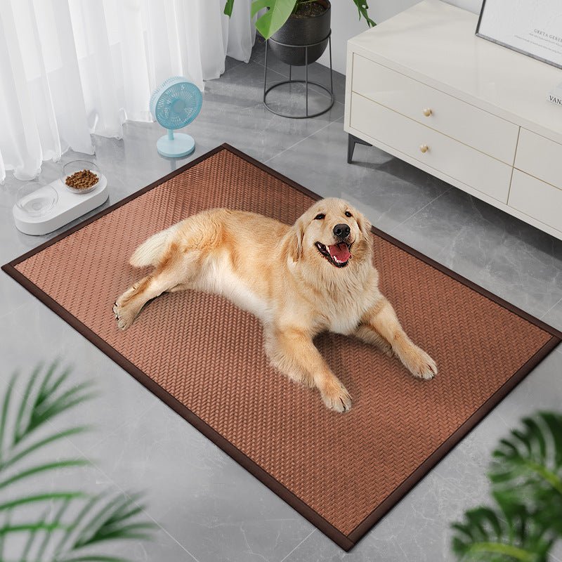 grand toutou sur tapis rafraichissant en tissage dans salon