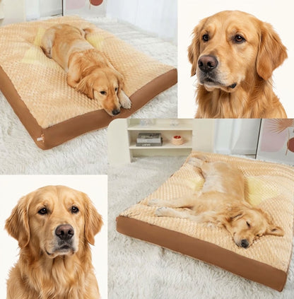 grands toutous allonger dans lit pour chien xxl epais