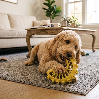 Jouet indestructible pour Chien ergonomique 