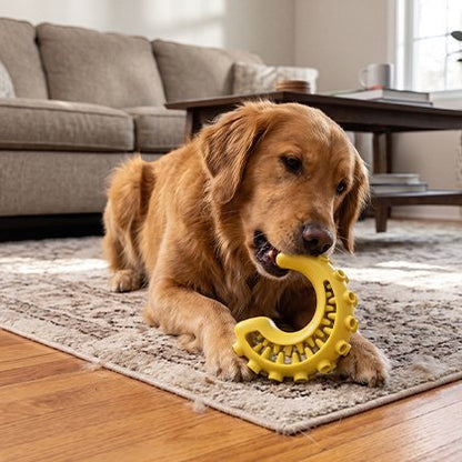 Jouet indestructible pour Chien participe au nettoyage des dents 