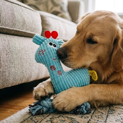 Jouet pour chien​ en Peluche Interactive