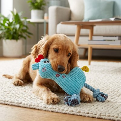Jouet pour chien​ Résistant à Mâcher