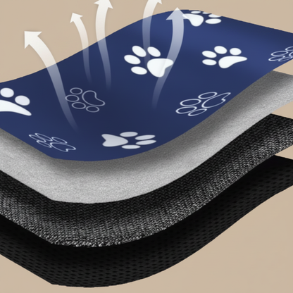 la structure de tapis rafraichissant pour chien xxl