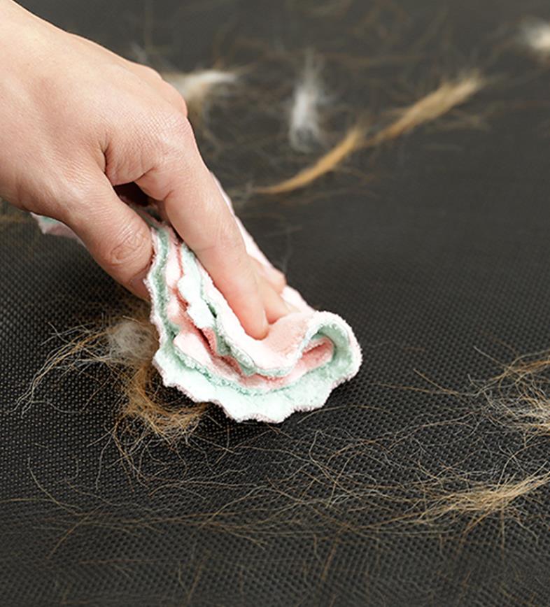 lit_de_camp_chien_facile_à nettoyer