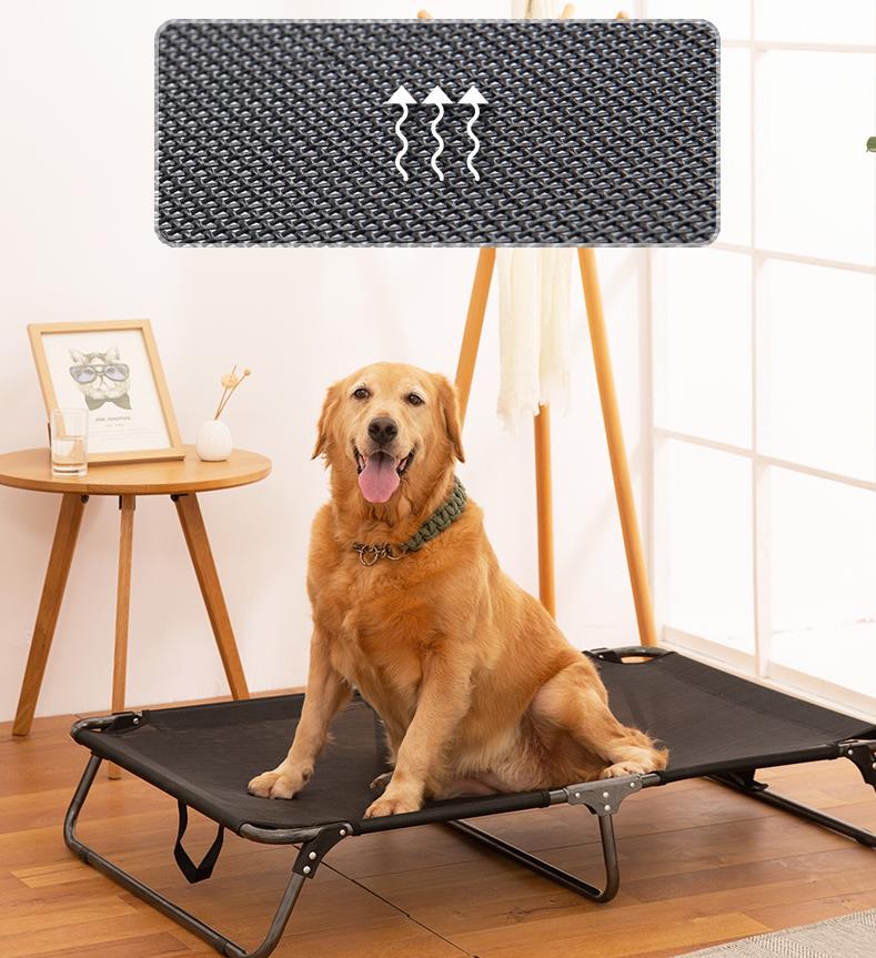 lit_de_camp_chien_respirant_noir