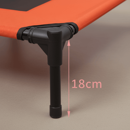 lit de camp pour chien XXL design pied surélevé