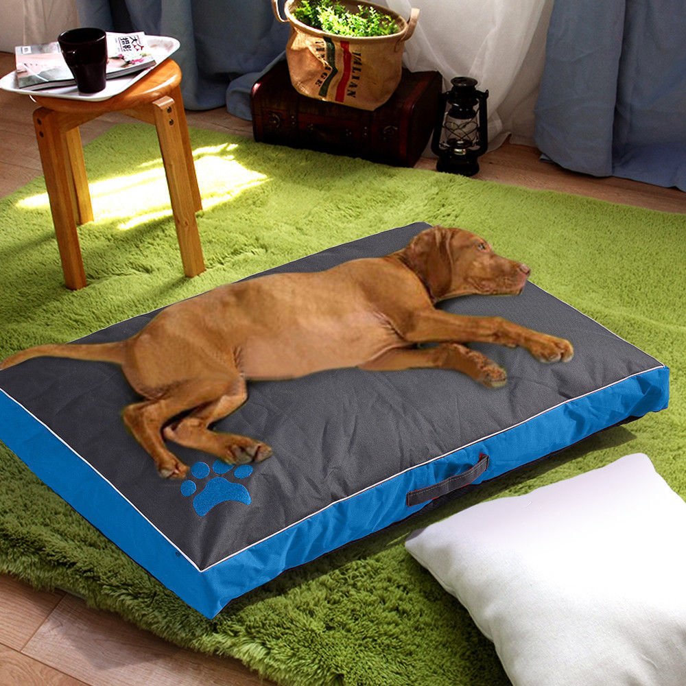 lit pour chien antiderapant impermeable dans jardin