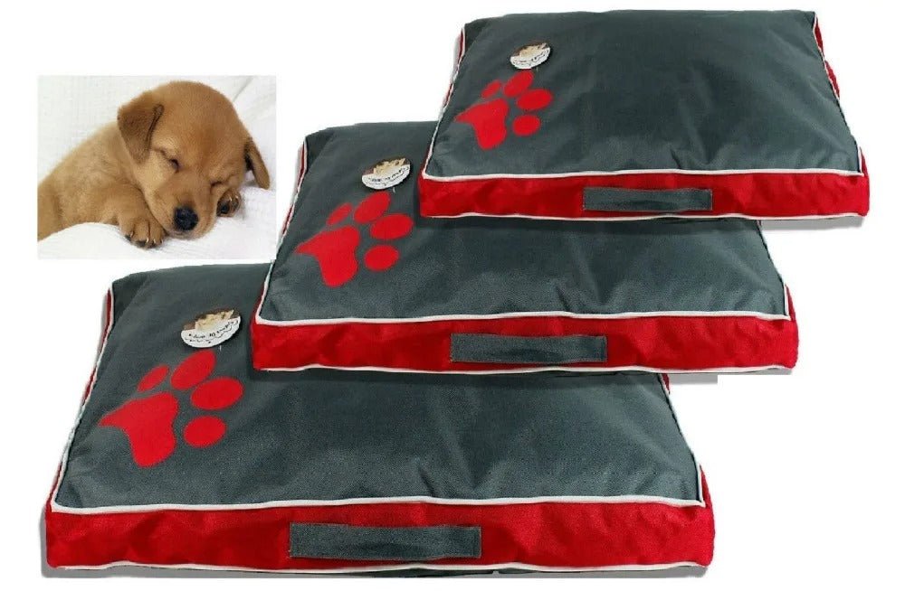 lit pour chien antiderapant impermeable pate chien