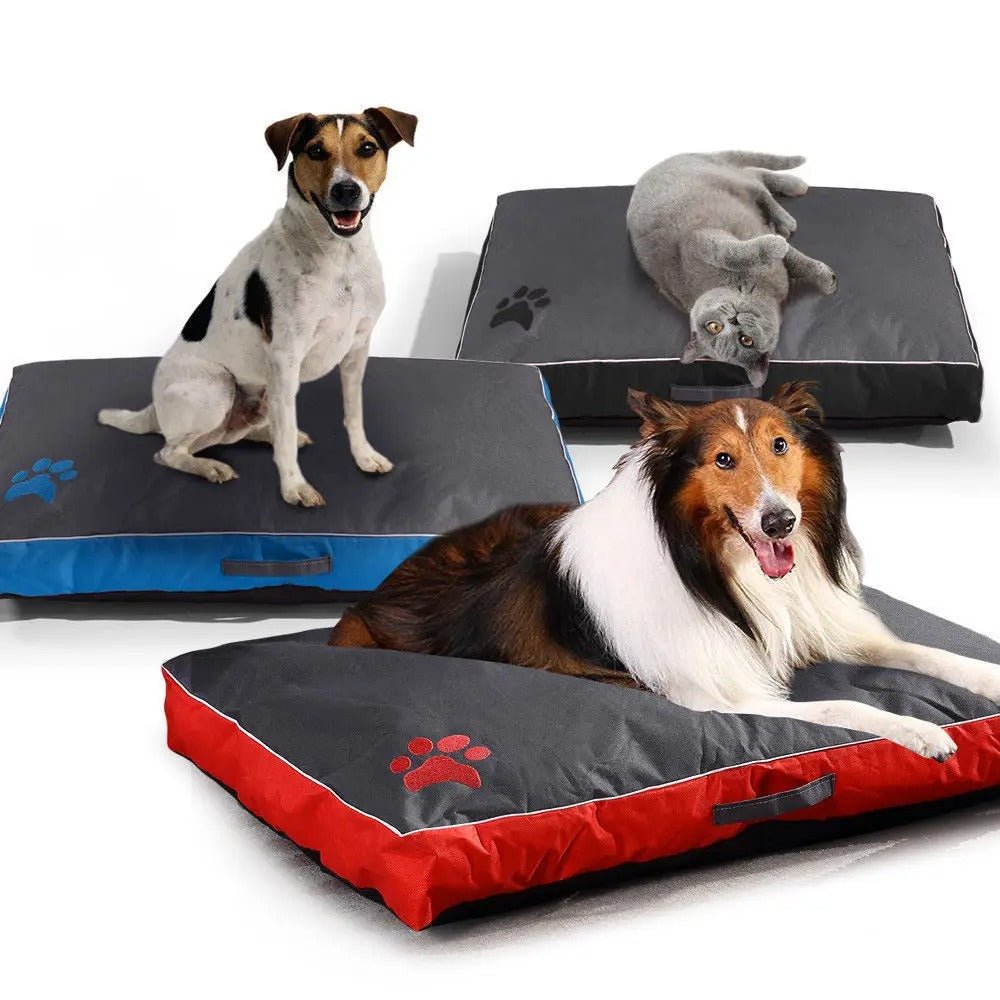 chien antiderapant impermeable tois couleur
