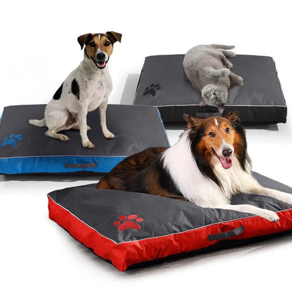 chien antiderapant impermeable tois couleur