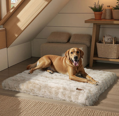 lit pour chien confort moelleux beige