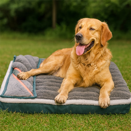 lit pour chien moelleux orthopédique gris