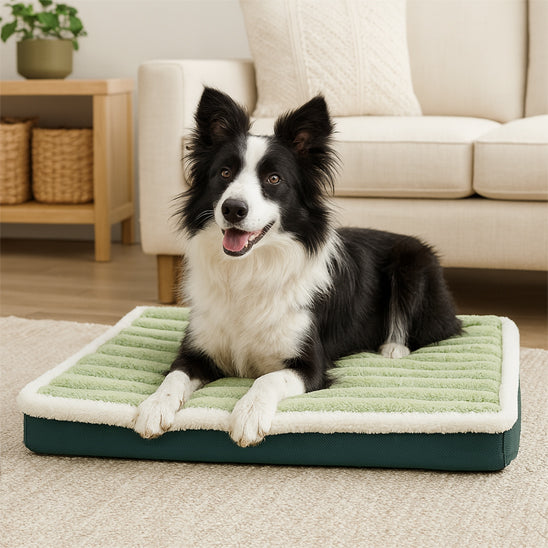 lit pour chien moelleux orthopédique vert