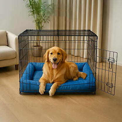 lit pour chien multi usage doux