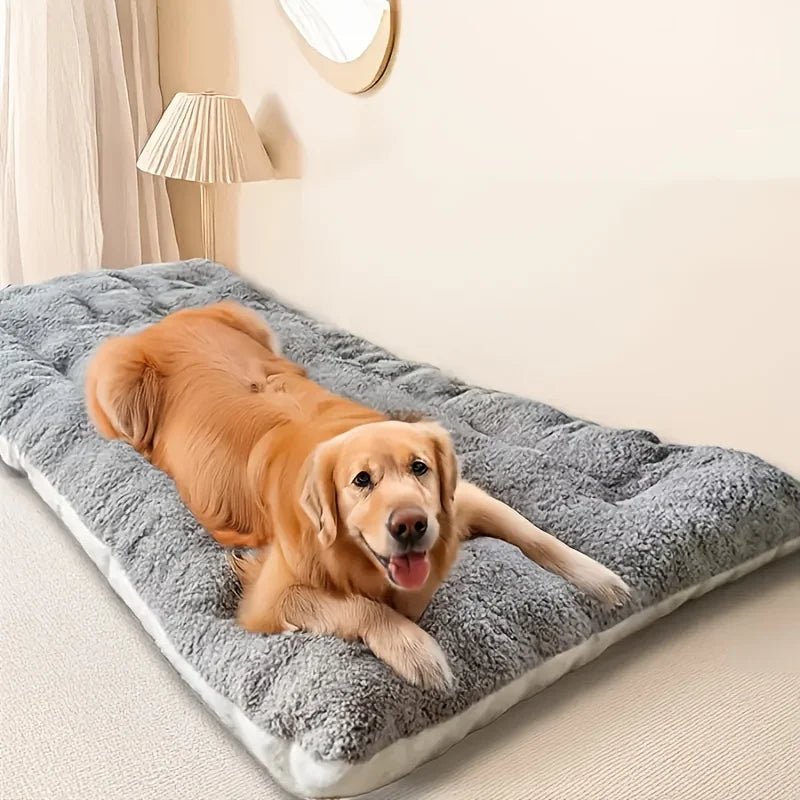 lit pour chien orthopedique dans chambre
