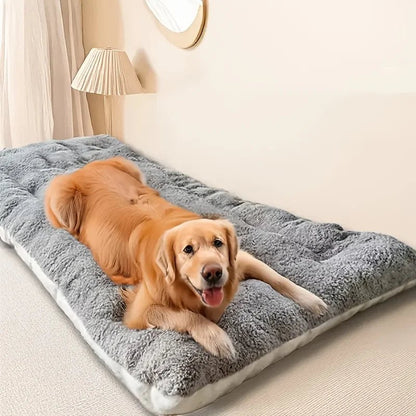 lit pour chien orthopedique dans chambre