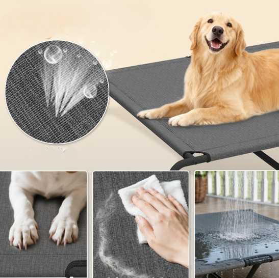 lit pour chien xxl surélevé léger et portable 